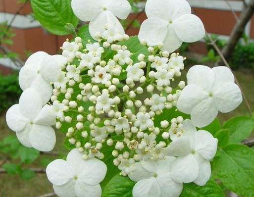 「运势」进入7月，4属相运势节节攀升，事业运旺，富贵盈门，喜事不断