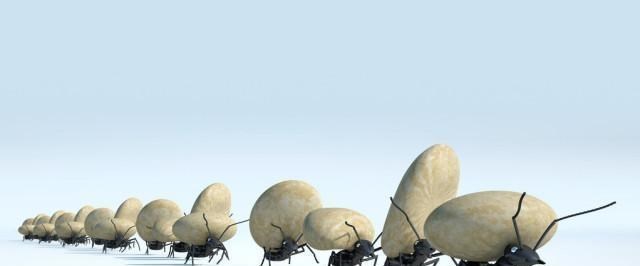 电影霸主|如果人类突然从地球消失，最有希望成为新霸主的会是哪一个物种？