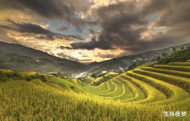 生肖:6月中旬,桃花节节攀升,真爱不知不觉已来到,抓住幸福的生肖