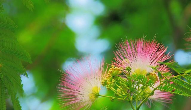双子座|旧爱复苏的几大星座,和恋人白头偕老携手共度,几星座被真爱笼罩