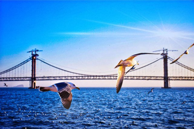 星座女▲十二生肖中，最近半年财神报道，大运缠身，人生富贵上上签的生肖