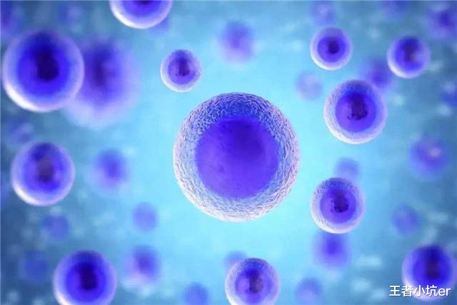 「起死回生」人为什么不能起死回生?科学家成功复活死亡猪脑,真相却很残酷!