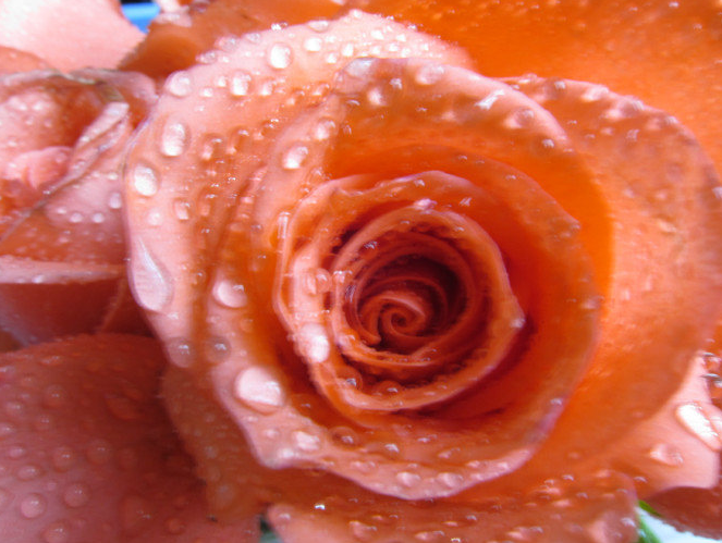 |最爱的宝贝【五】