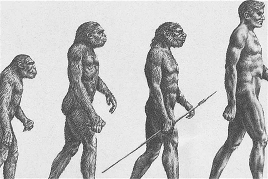 恐龙消失是外星人造成的？外星人留在地球上，进化成了人类？