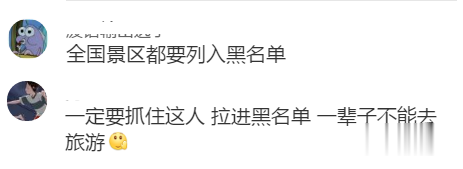 「放生」八达岭长城恢复开放第1天,令人气愤的一幕!