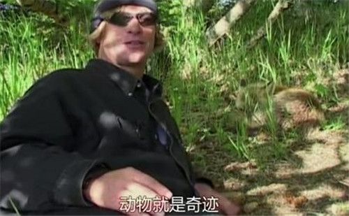 艾米|他和熊亲密生活11年，却被熊活活吞掉，生前六分钟录音至今遭禁播