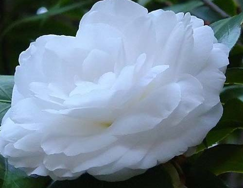 |11月16日开始，4属相生财有道，事业顺风顺水，生活蒸蒸日上