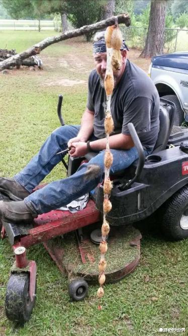 []网络有多恐怖？你问什么，万能的网友都能解答！