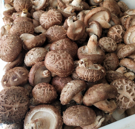 火锅|吃麻辣烫，聪明人专挑这5种菜，老板气的直跺脚，店员：真会吃！