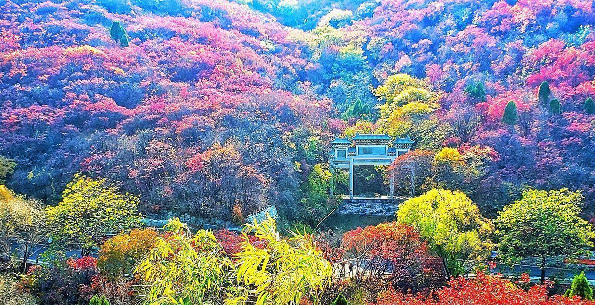 ##7月送旧迎新，桃花运降临，彼此深爱，到老不理的3个星座