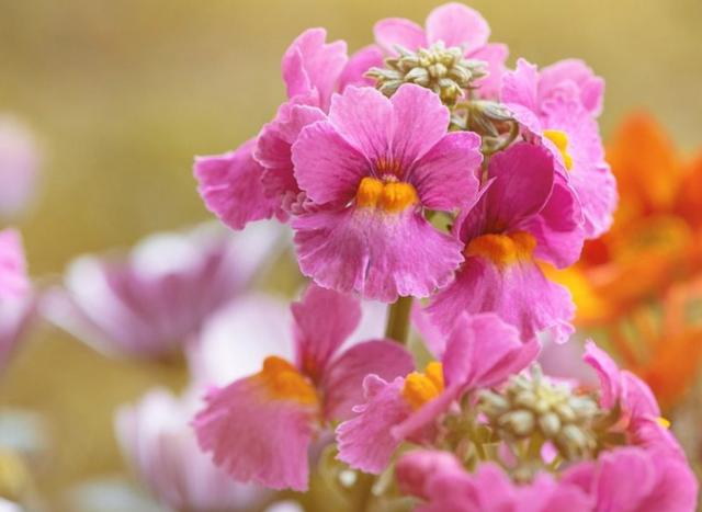 大学|已“泛滥成灾”的2个大学专业，毕业工资不到三千，前途一片迷茫