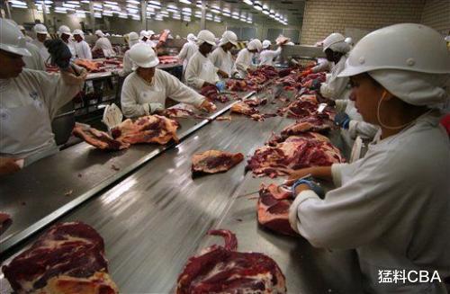 猪肉|中美签订4万吨猪肉订单，巴西：降价还不行？中：你大可继续涨价
