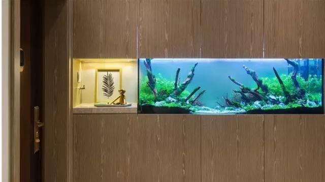 @一家6口住60㎡，厕所里洗菜，饭菜一股骚味，100万空间放塑料瓶子！