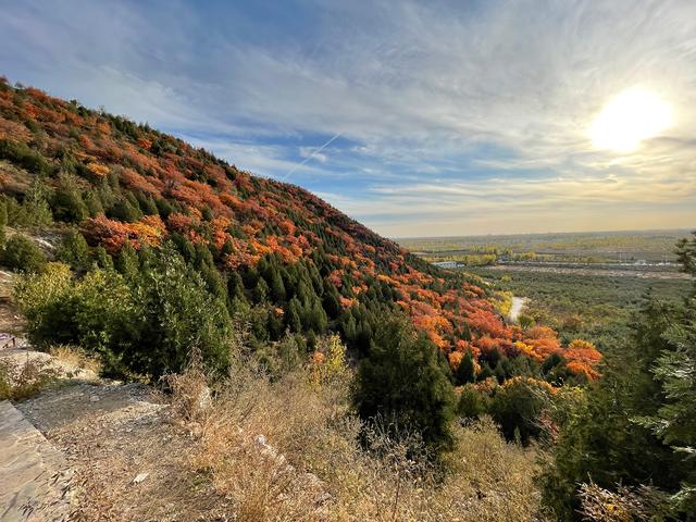 iphone12|iPhone 12对Mate 40 Pro，高阶之战该选谁？