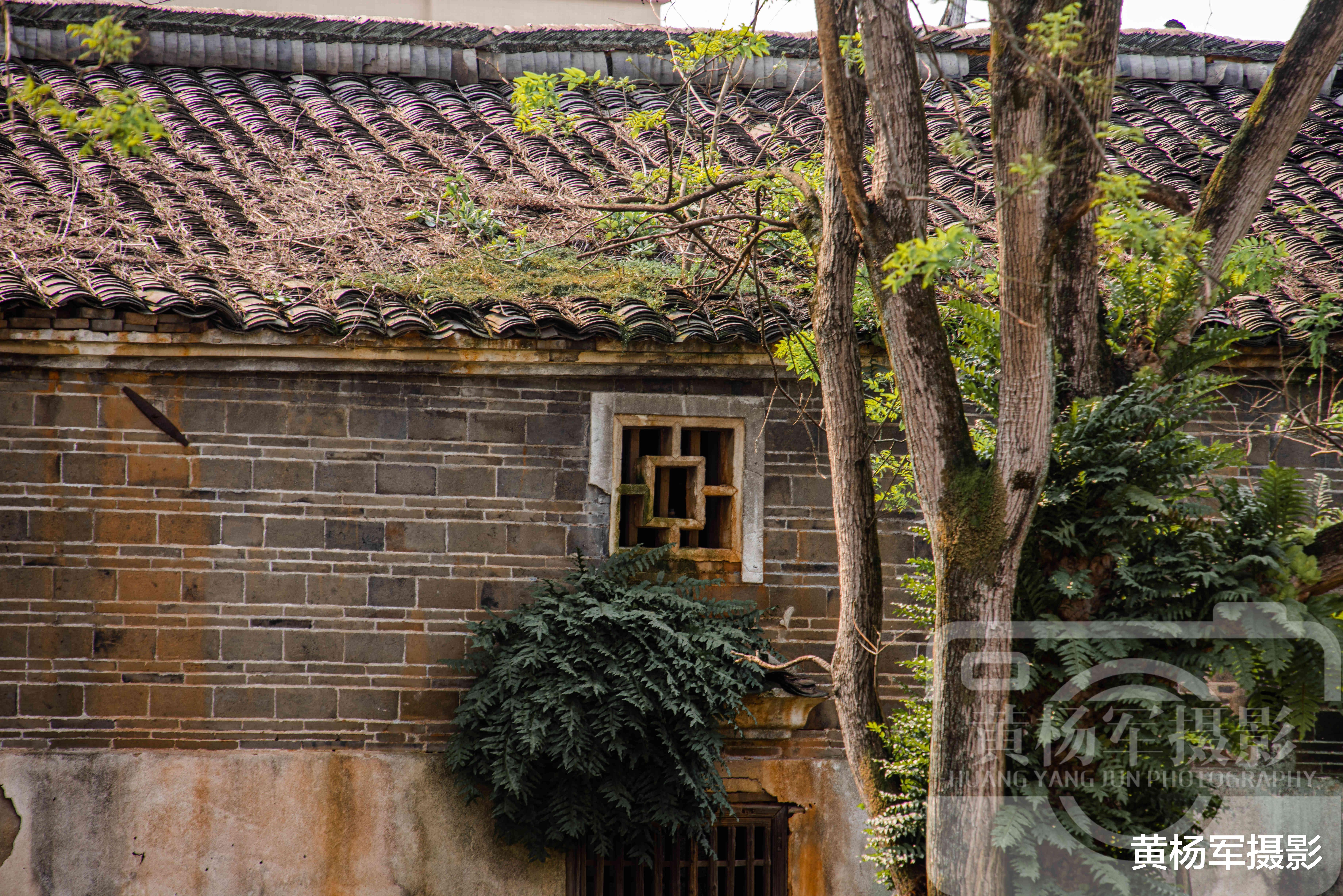 #南康#江西南康区卢屋古村，历史悠久古建筑众多故乡景色很熟悉，看啥样