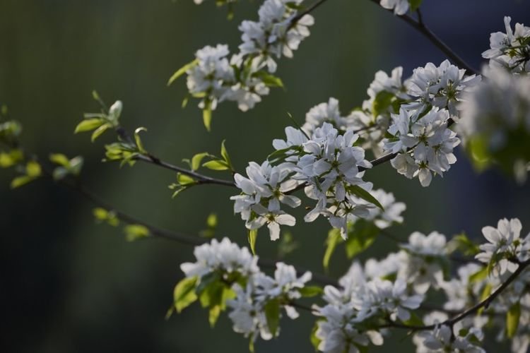生肖|9月下旬，月老牵姻缘线，桃花朵朵爱情到，终于要脱单的四生肖！