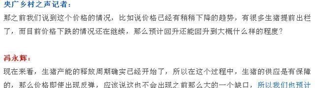 生猪价格|10月26日猪价逆势大涨！11月猪价能达到多少钱一斤？看专家咋说
