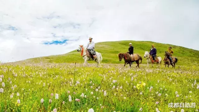 『川西』不输俄么塘！川西又一冷门万亩花海开放，不收门票，赏花观云还不打挤