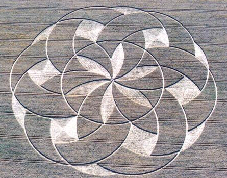 麦田怪圈|困扰科学界一个世纪的麦田怪圈事件，在蹲守数天后，终于找到线索