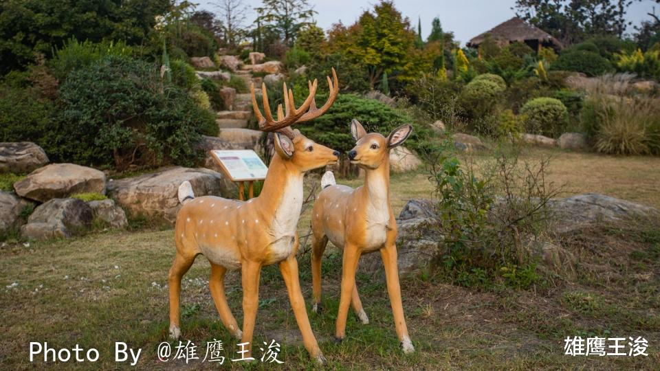 胡杨林|无锡最接近“仙境”的地方，无法抗拒的浪漫，看看你去了吗？