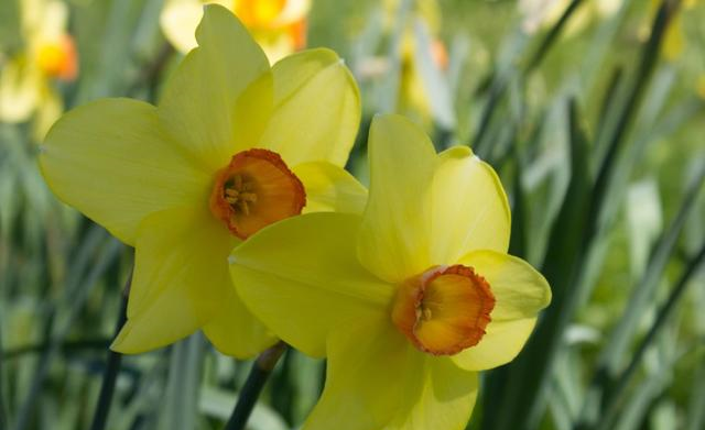 吉星|10月好运上上签，出门逢贵，八方来财，顺遂如意的4大生肖