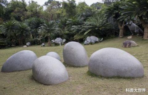 恐龙蛋@智利科学家在南极洲发现沧龙卵，重达13斤，比鸵鸟蛋大4倍多