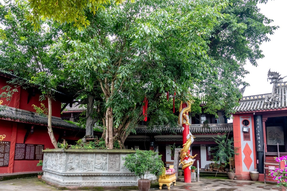 古镇|距成都40公里的古镇：一道街上三寺庙，庙内榕树还包裹着一小寺庙