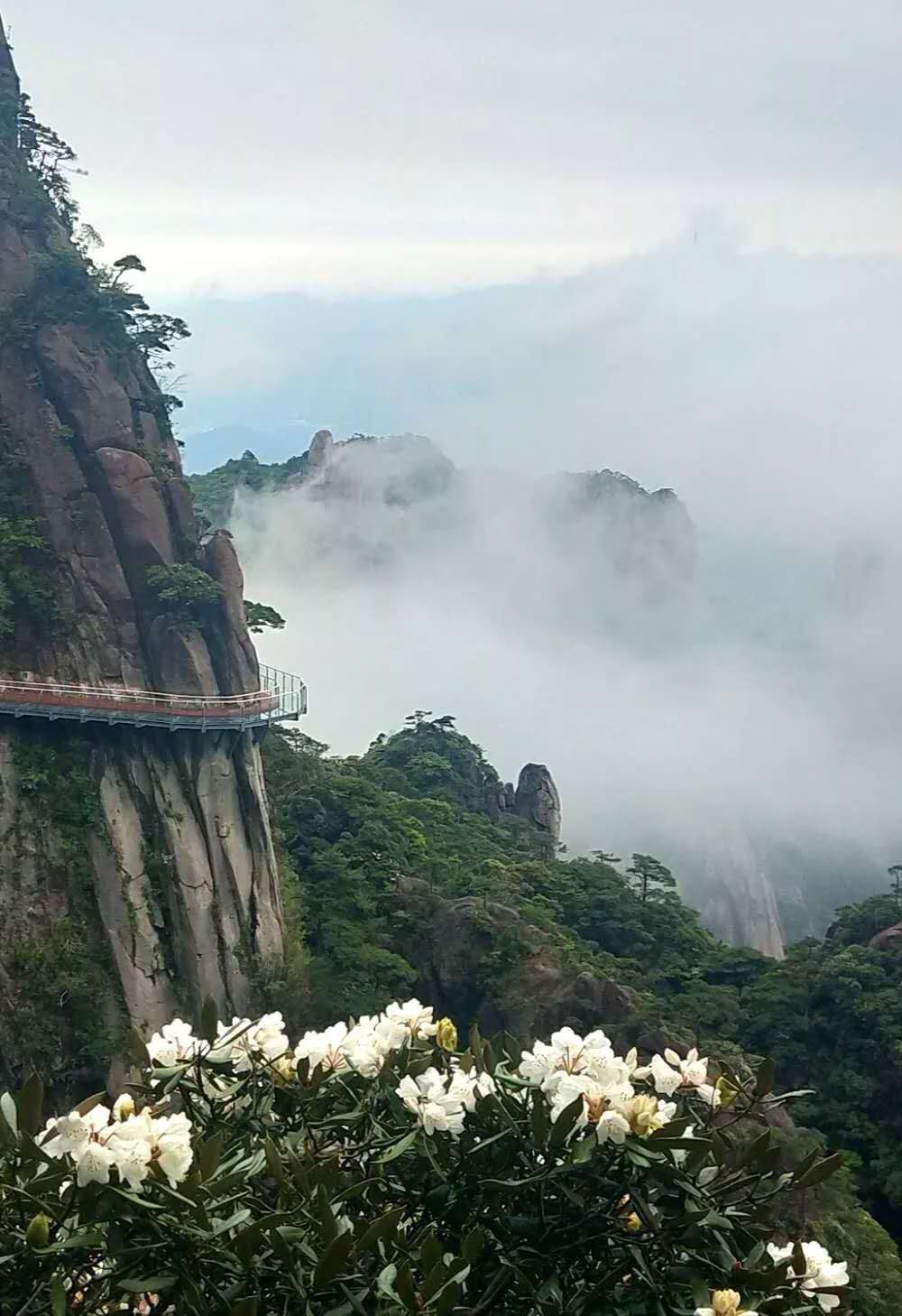「三清山」这座山怎能这么美？