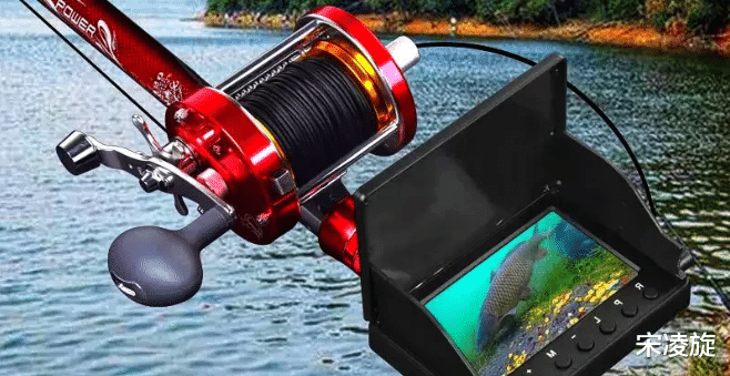 四川省|四川泸州男子锚8斤鲤鱼被判刑两个月,钓鱼人:锚鱼危害重大