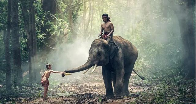 ##在柬埔寨不能做的十件事