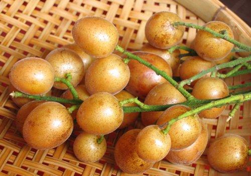 [水果]七月，遇到这碱性水果别错过，做成零食美味又健康，别不懂吃！