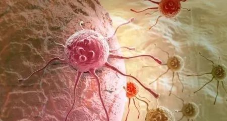 蕺菜@比吸烟还致癌的它,已“入侵”千家万户!吃得越多,癌细胞越喜欢