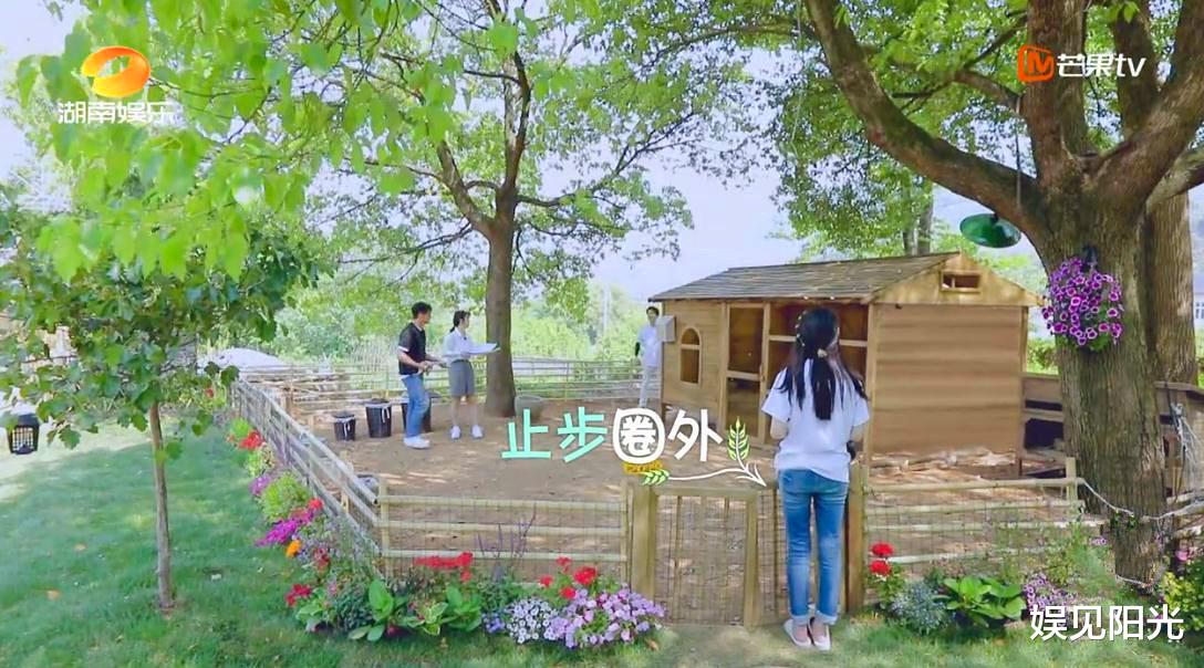 郑爽|当普通的农夫风草帽戴在了郑爽头上，说好的“人靠衣装”呢？
