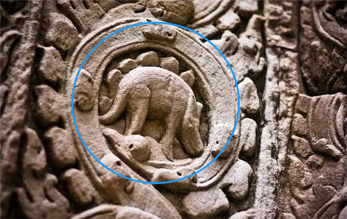 恐龙|1864年,美国士兵曾抓到一只翼龙,并留下合影,究竟是真是假?