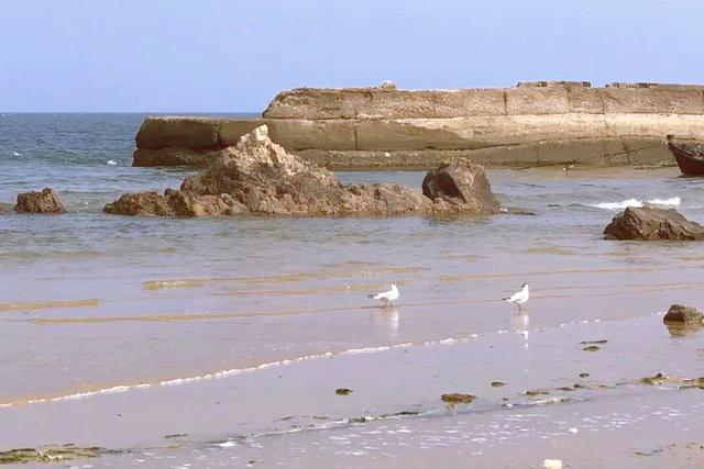 肥猪爱旅行 山东日照风景如画,低调多年终被发现!被选为易烊千玺《送你一朵小红花》取景地