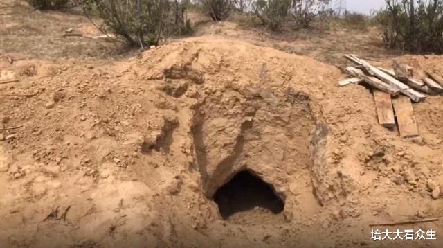 亲情|不堪忍受臭气熏天，儿子活埋79岁老母：养儿防老或成高风险投资