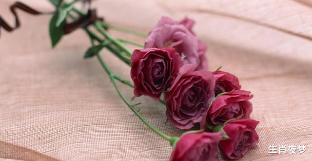 生肖|9月底，旧情人来找，真心难逃，3生肖久别重逢，再续情缘爱到底