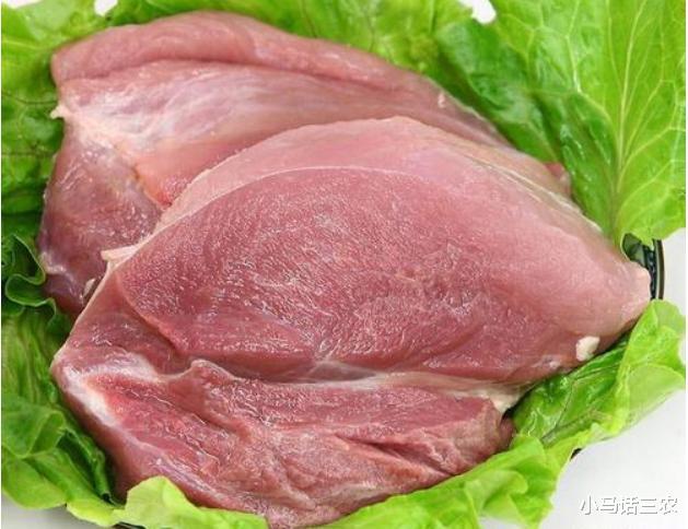 生猪价格|10月10日猪价“大跌”！15元猪肉啥时候能来？听专家怎么说