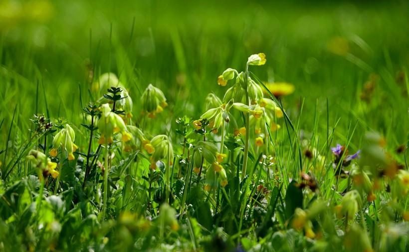 旧爱|10月中尽力挽回爱情，旧爱言归于好，难忍思念求复合的四大星座！