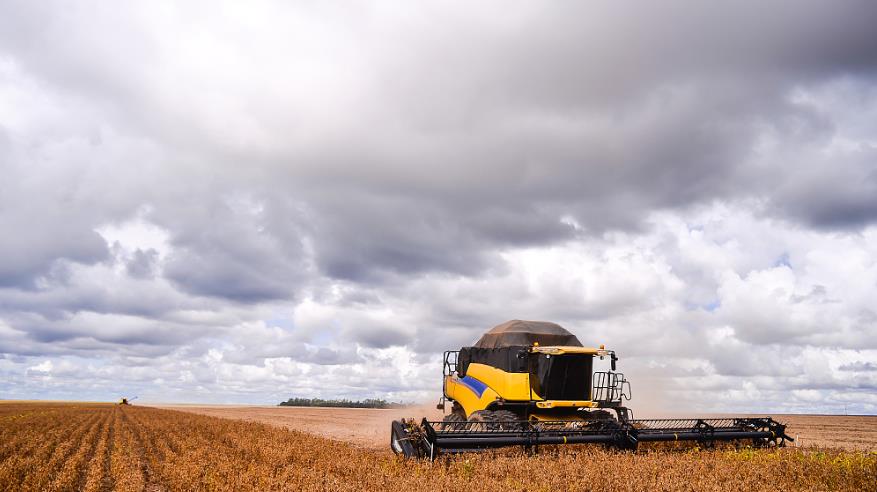 【柿子】不珍惜中国市场再次涨价，中方直接断绝合作：我们不是软柿子！