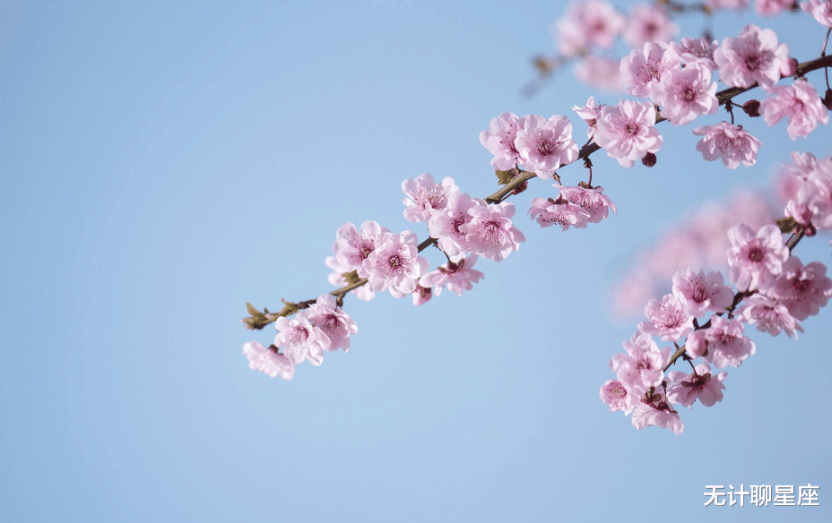 生肖|十天后，会遇到最佳伴侣的4个星座，相濡以沫，白首到老