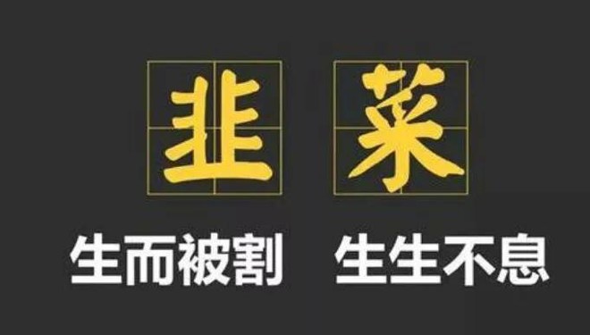 今天逆市加仓,300万本金一把亏光