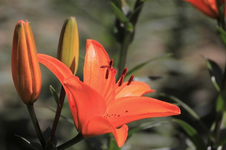 天蝎座|八月下旬邂逅真爱！4大星座大胆去表白，拥抱今生最甜蜜的爱！