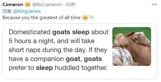 安东尼·戴维斯|太强了!浓眉季后赛比肩乔丹,老詹亲承无法入睡,霍华德宣布重大决定!