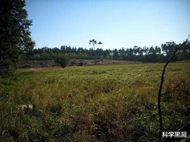 「UFO」白色不明球体事件之后，日本又出现“霓虹云彩”，这是怎么了？