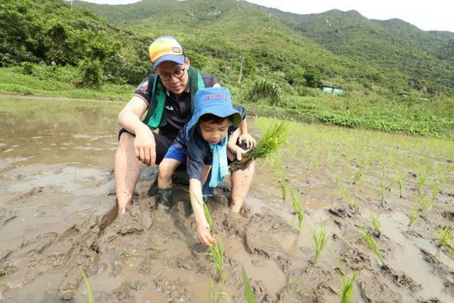 豪门|霍启刚晒的晚餐照，藏豪门修养，父母的修养让娃在起跑线就先赢了
