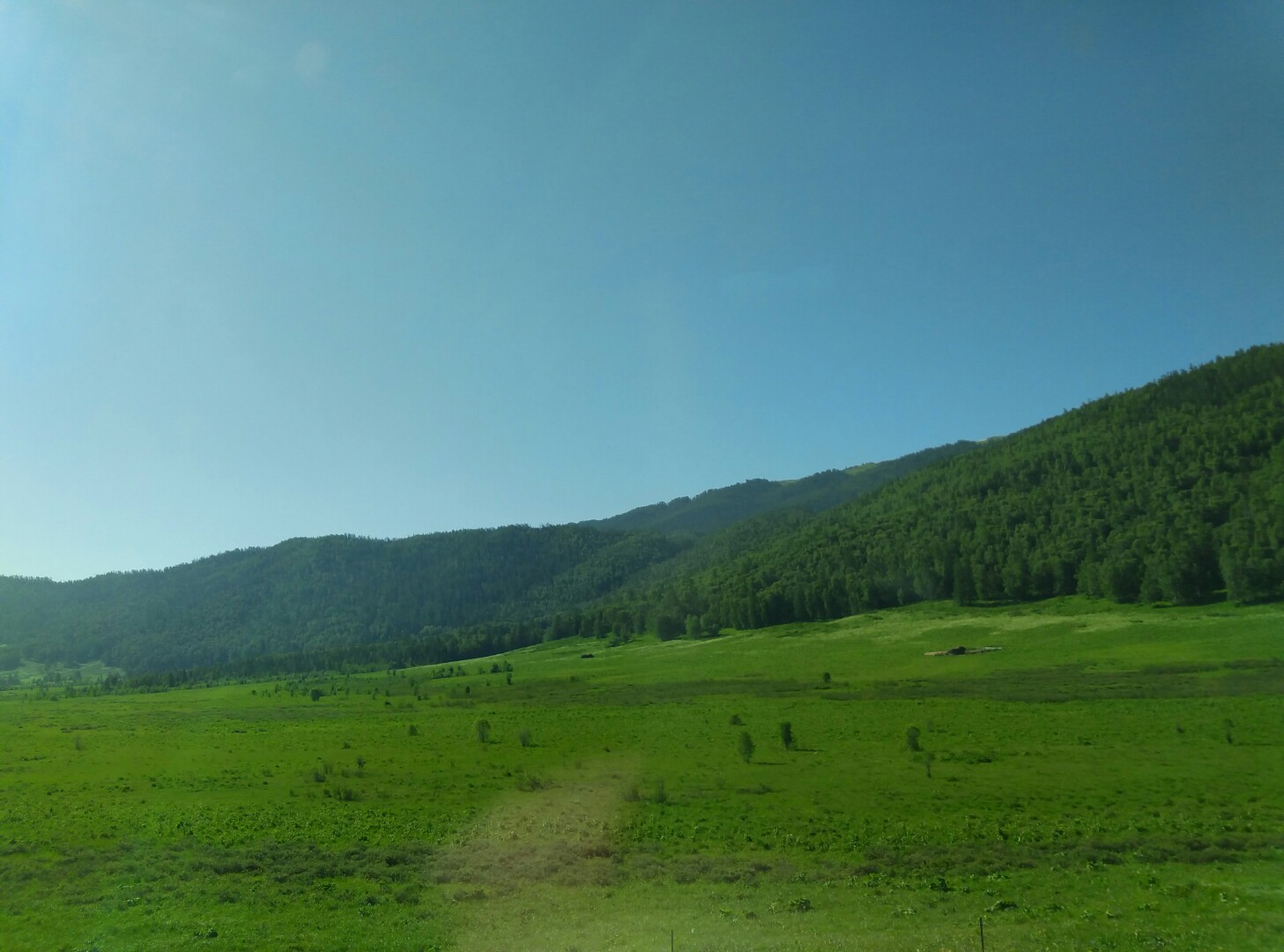 跌停|很好的买入机会