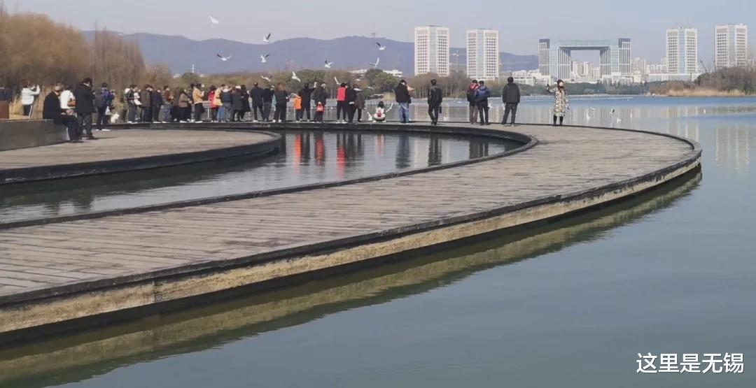 「无锡」无锡藏着一条状元古道，新晋徒步旅游路线，人少、景好、新鲜感足