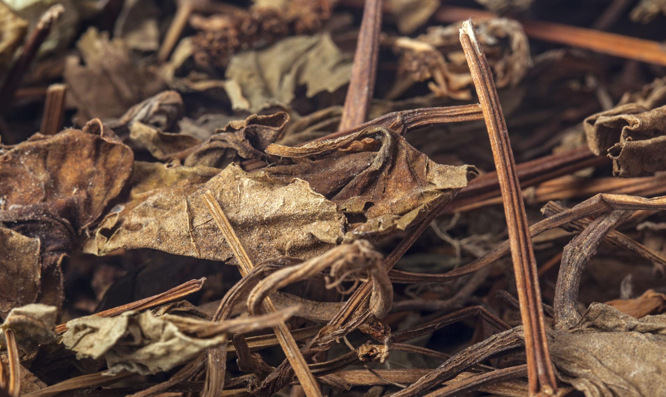 肺癌■肺癌善于“躲藏”，“1粗1麻1疼”别视而不见，早知，早治，早好