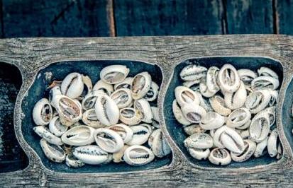 贝壳|贝壳既然是古代货币，古人为何不去海边多捡些？网友：想多了